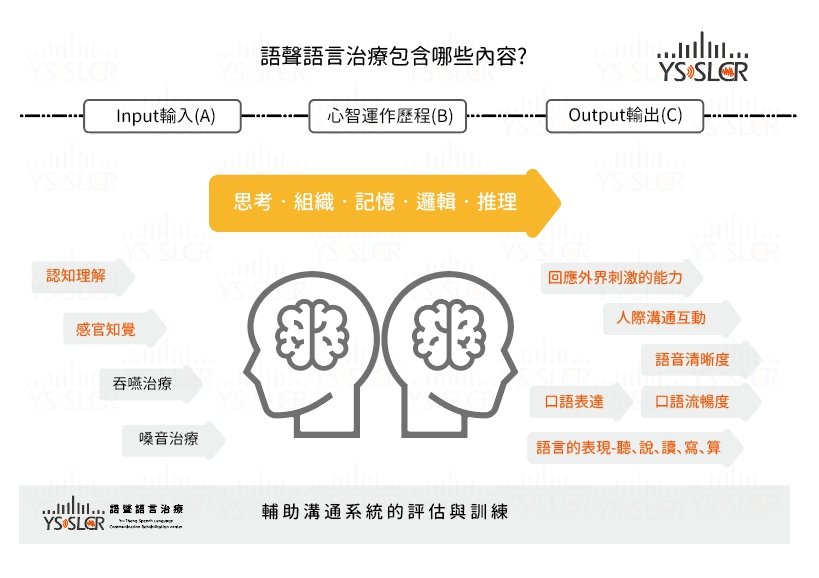 常見問題 語言治療的三個階段:輸入與接收、大腦運作與思考、輸出與表達